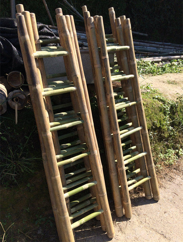 结实竹梯子毛竹梯老竹子幼儿园爬梯一字梯直梯小孩户外玩具竹制品