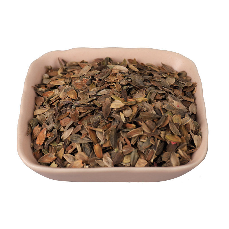 百日草花种籽子七彩重瓣百日草花种子四季开花百日菊花籽庭院室外