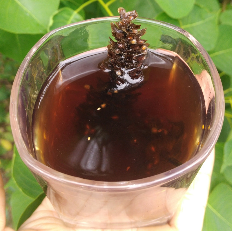 正宗野生新鲜白毛夏枯草干苦草干筋骨草夏枯草凉茶中草药500g包邮