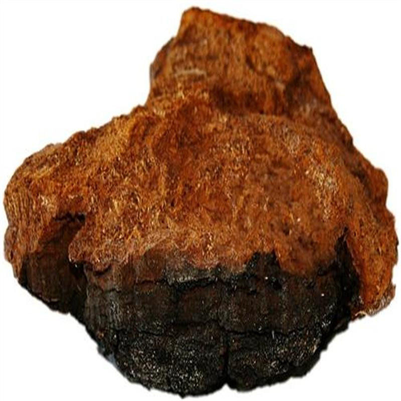 野生桦树茸正品桦树胆桦树菌长白山桦树泪干货整枝大块包邮_双氙车灯