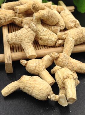 东北长白山粒头小个花旗参段西洋参