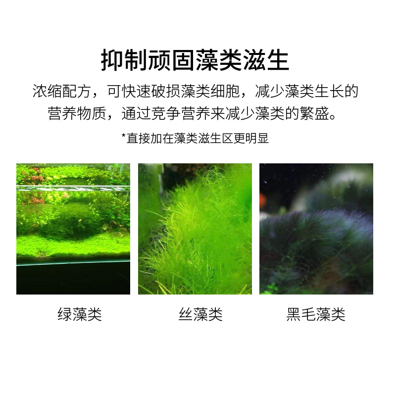德克鱼缸除藻剂不伤鱼生物蓝藻净丝藻克星草缸除藻环保去苔剂