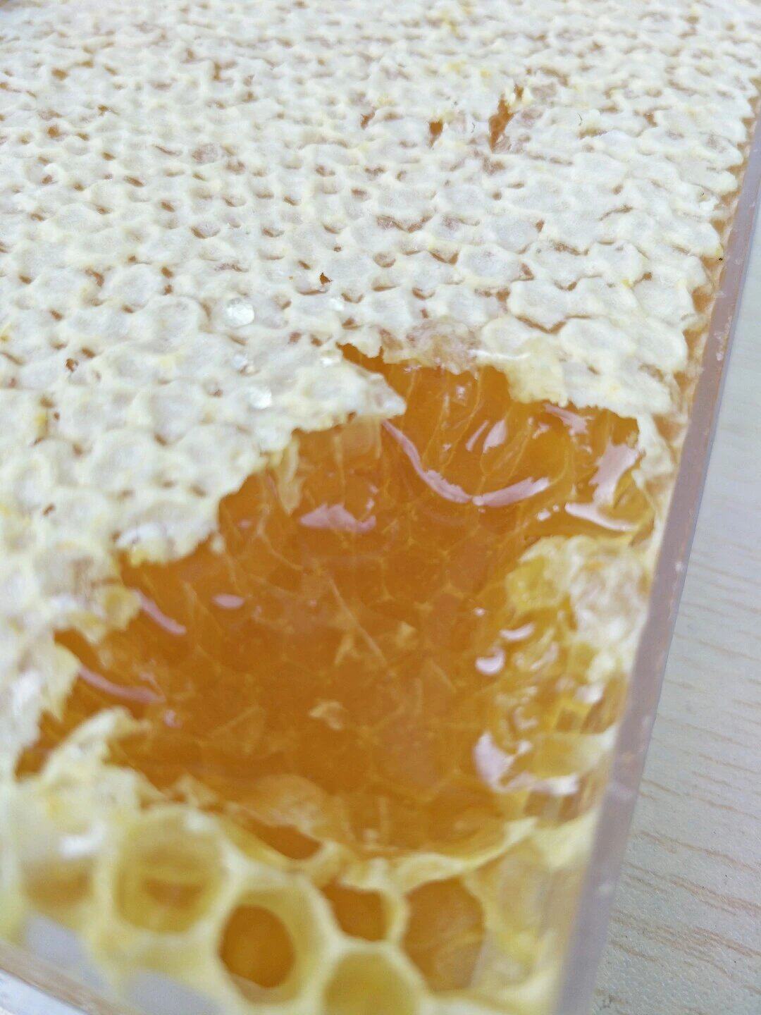 半斤蜂巢蜜蜂窝蜜封盖蜜成熟蜜川农大学生创业品牌蜂蜜哥