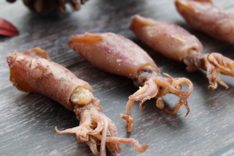 福建海产品海兔500g新鲜乌贼笔管鱼海兔子墨鱼墨鱼干