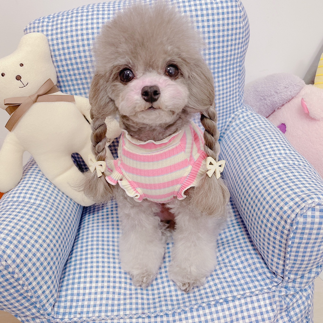 糯米同款发夹狗狗头饰皮筋蝴蝶结发饰宠物泰迪头饰