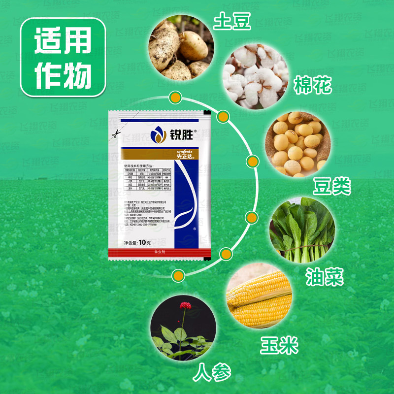 先正达锐胜噻虫嗪棉花玉米人参蚜虫蓟马金针虫白粉虱种衣剂拌种剂
