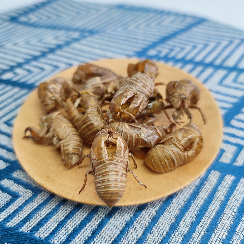 知了野生蝉蜕金蝉衣爬猴自采蝉壳秋百草中药材其他药食同源食品