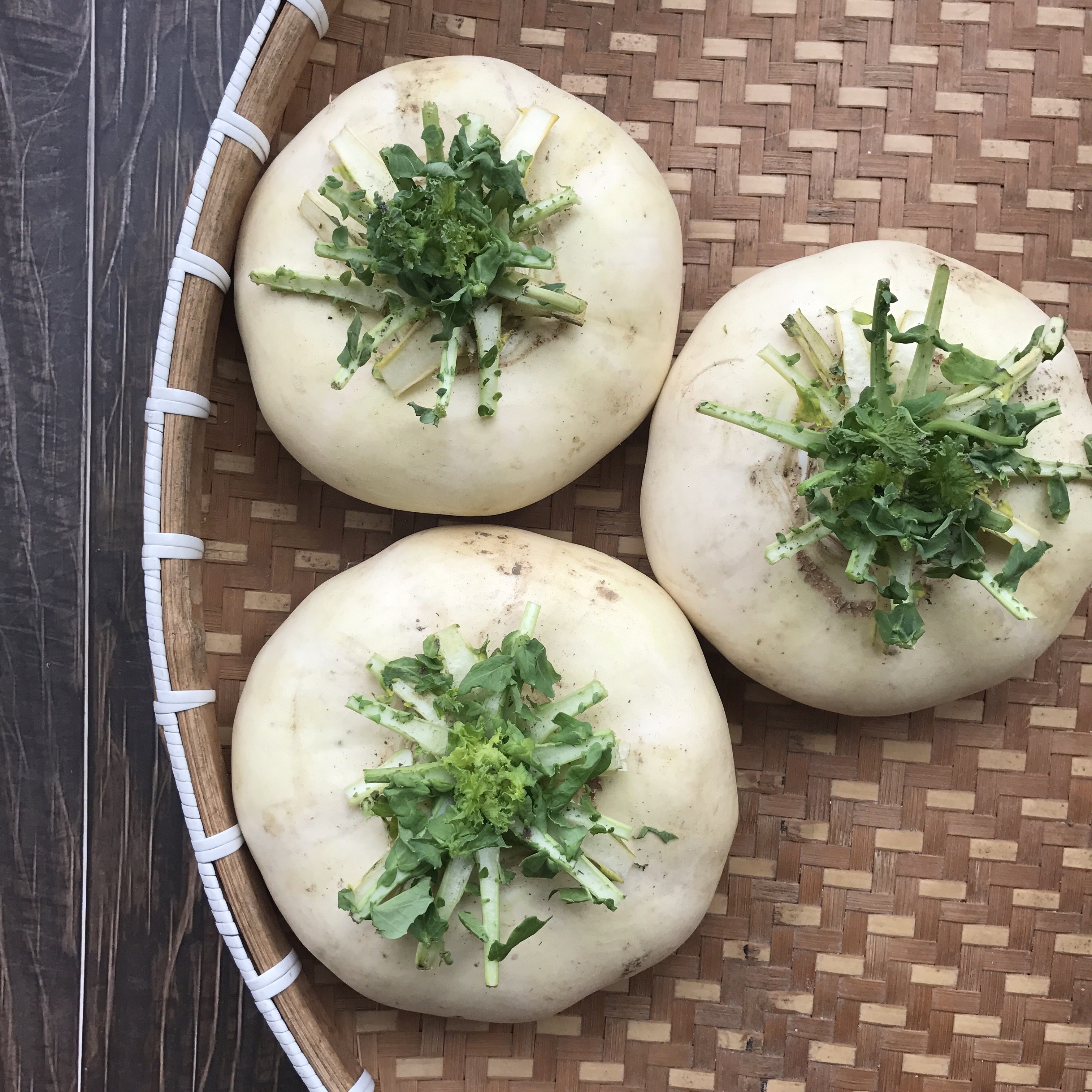 温州盘菜新鲜特产农家盘菜头萝卜大头菜现摘现发萝卜