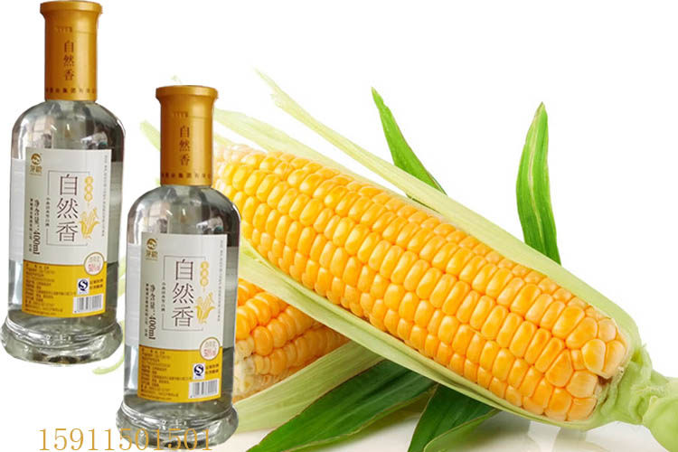 云南特产茅粮自然玉米香酒清香香型400x6瓶包其他酒类