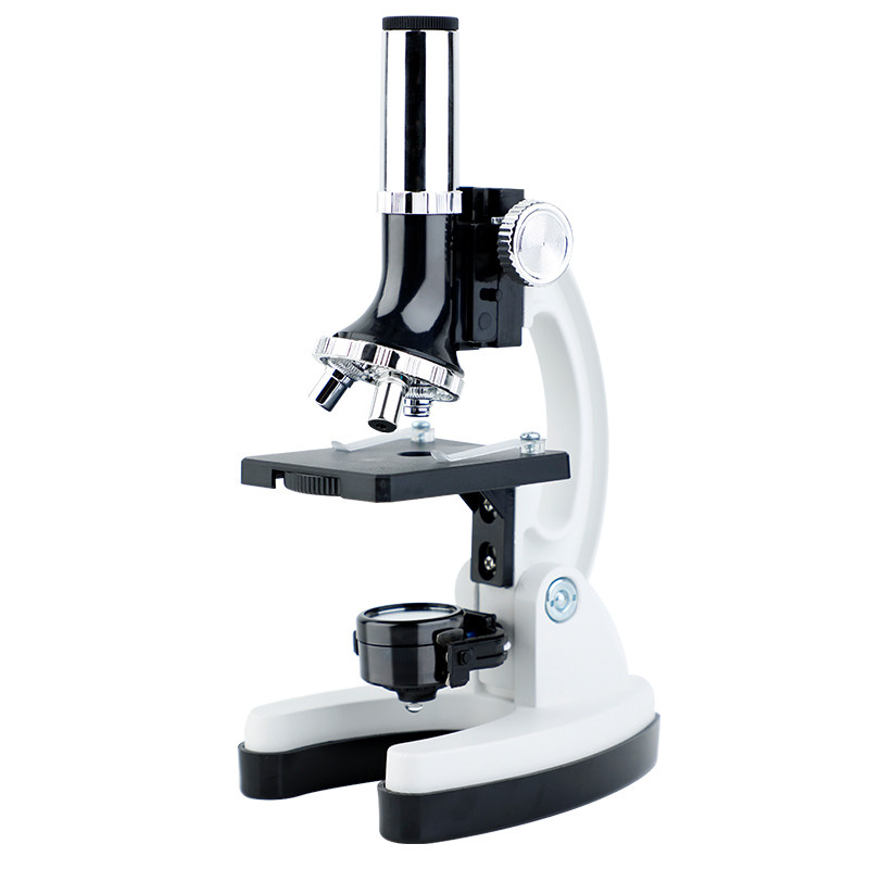 生日礼物女孩男孩子送儿童10十岁小学生12女童8男童61小孩7六一节