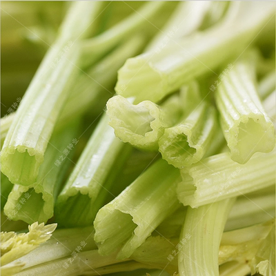 特色蔬菜马家沟空心芹菜宏程香脆四季盆栽庭院农家家庭园艺种子