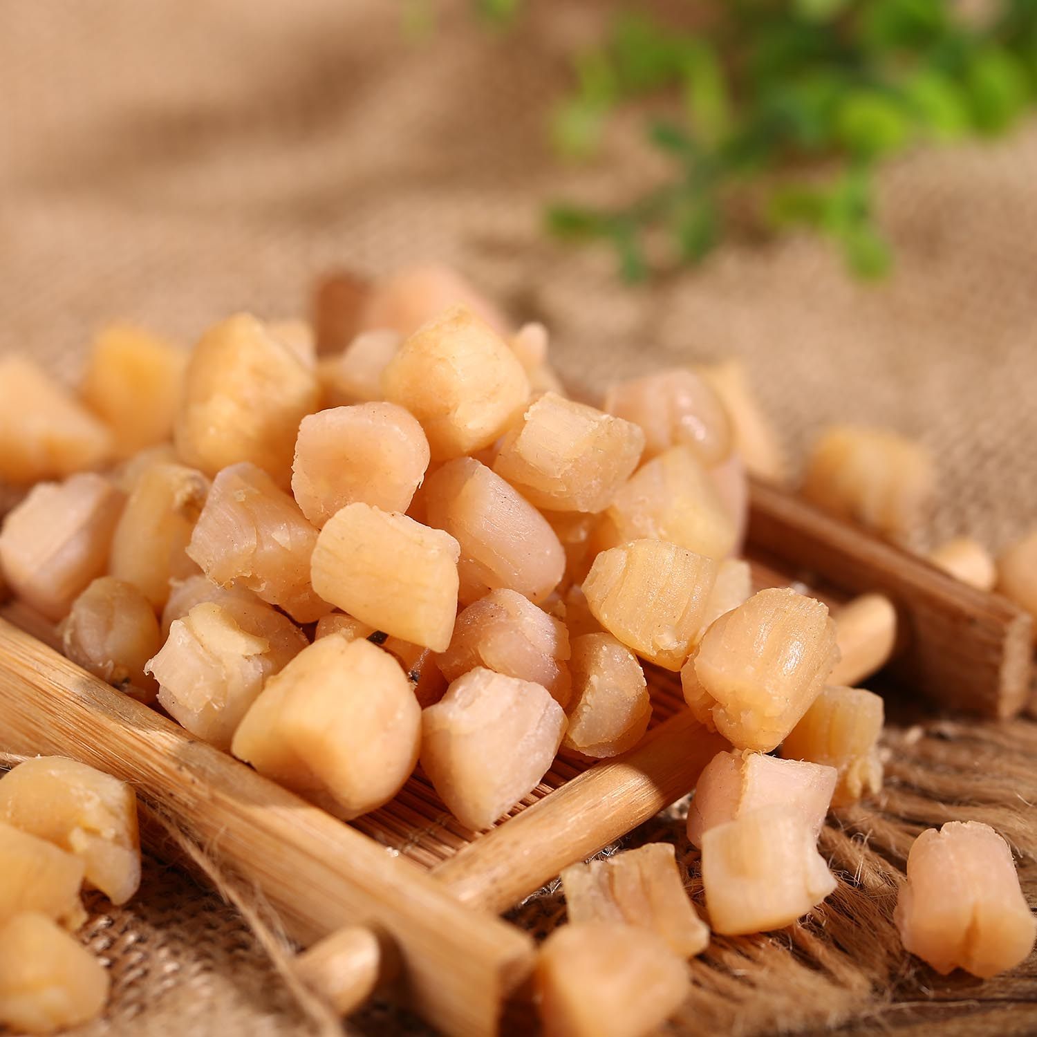 干贝野生特级瑶柱渔家自晒扇贝丁扇贝肉干干货干贝