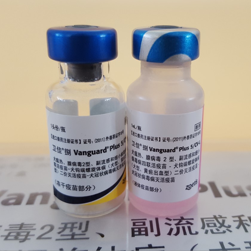 美国辉瑞卫佳8联疫苗硕腾八联狗育苗预防犬瘟