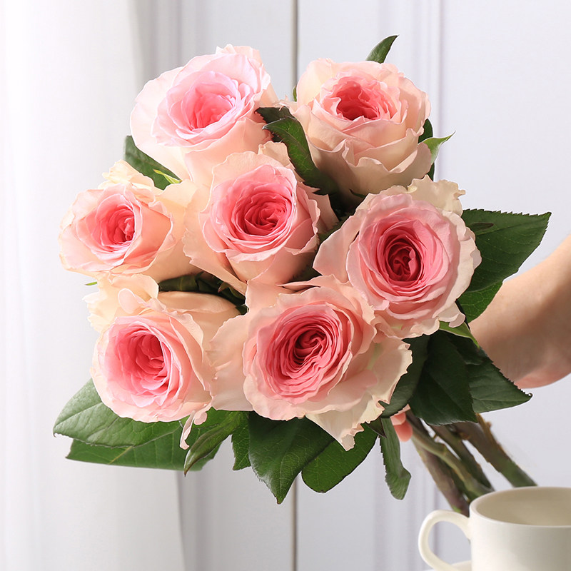 洛神玫瑰花鲜花云南直发直批国产玫瑰家庭办公鲜花速递同城