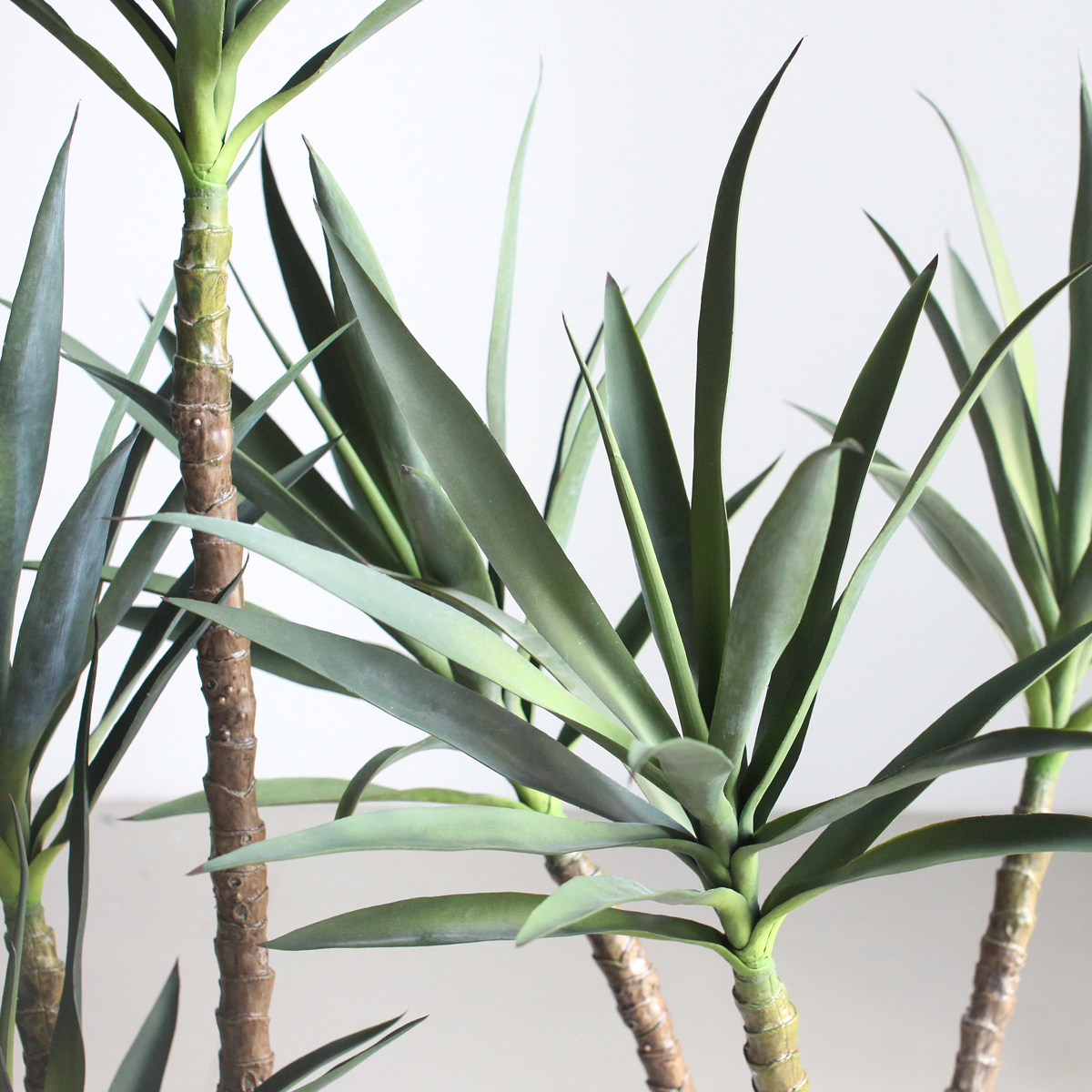 西西里龙舌剑麻仿真热带植物服装店个性装饰盆栽仿真植物盆景