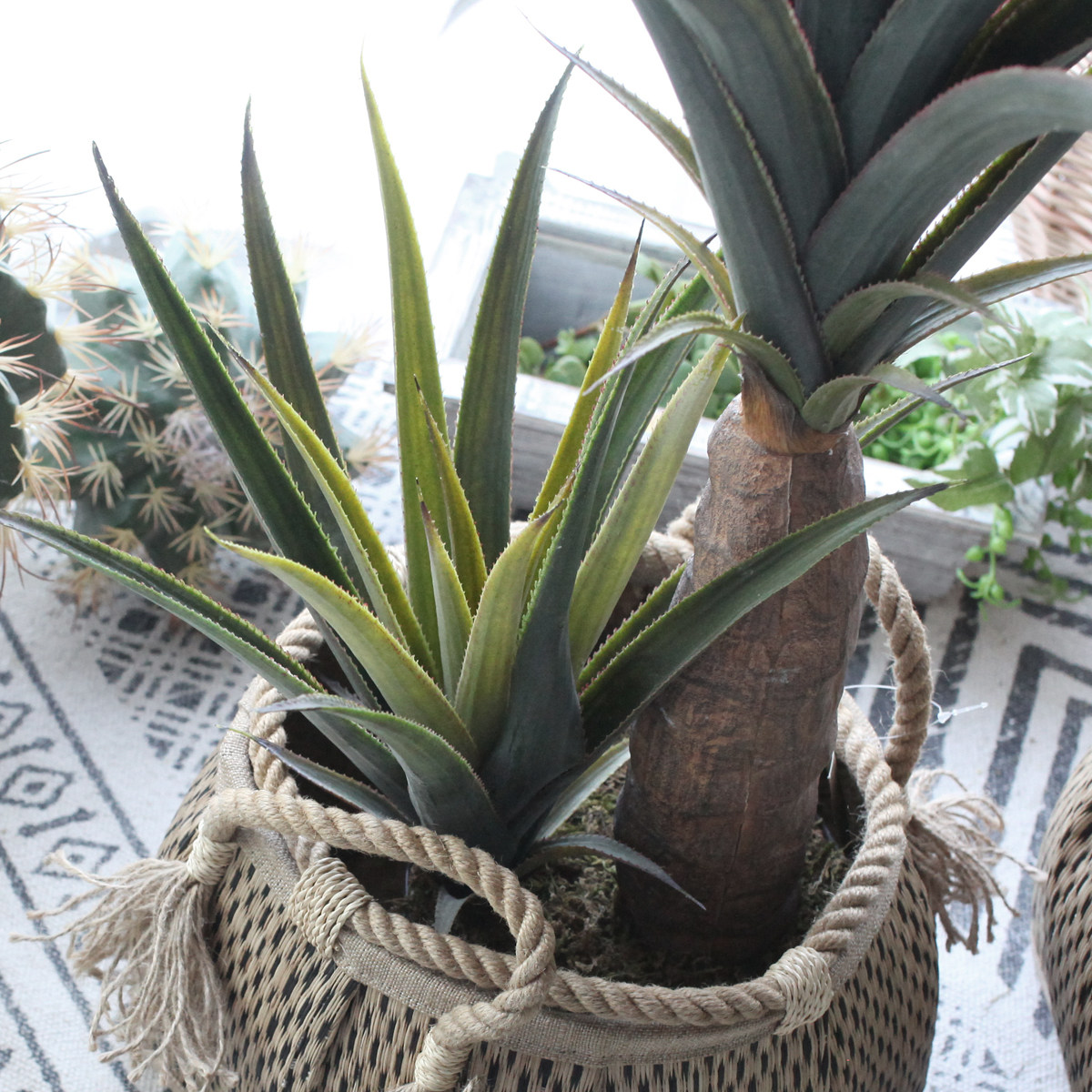 西西里仿真绿植皇冠龙舌剑麻盆栽家居客厅阳台仿真植物盆景