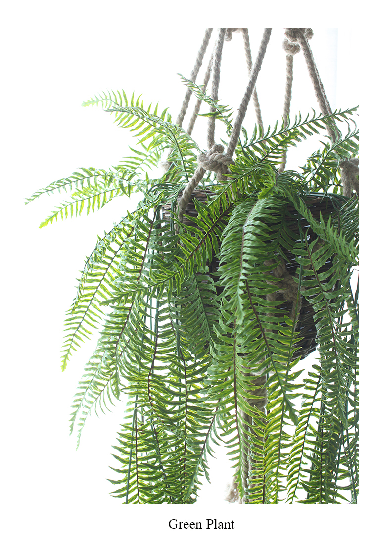 西西里仿真绿植垂吊蕨草叶北欧植物藤条商铺餐厅装饰植物墙搭配草