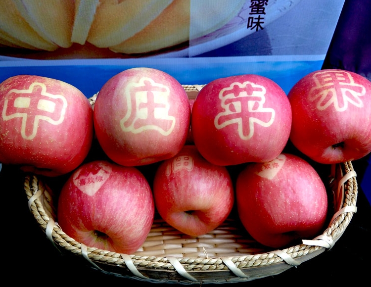 沂源红苹果【礼盒包邮】新鲜水果脆甜苹果红富士85#90#超大果带字