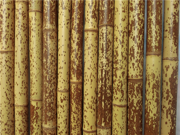 湘妃竹梅妃贵妃竹臂扇子骨架茶叶罐旅游茶水水罐竹编