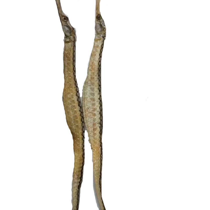 煲汤 大刁海龙干 黄金海龙 海鲜干货 男性滋补 泡酒药材 叼龙 - 痕风