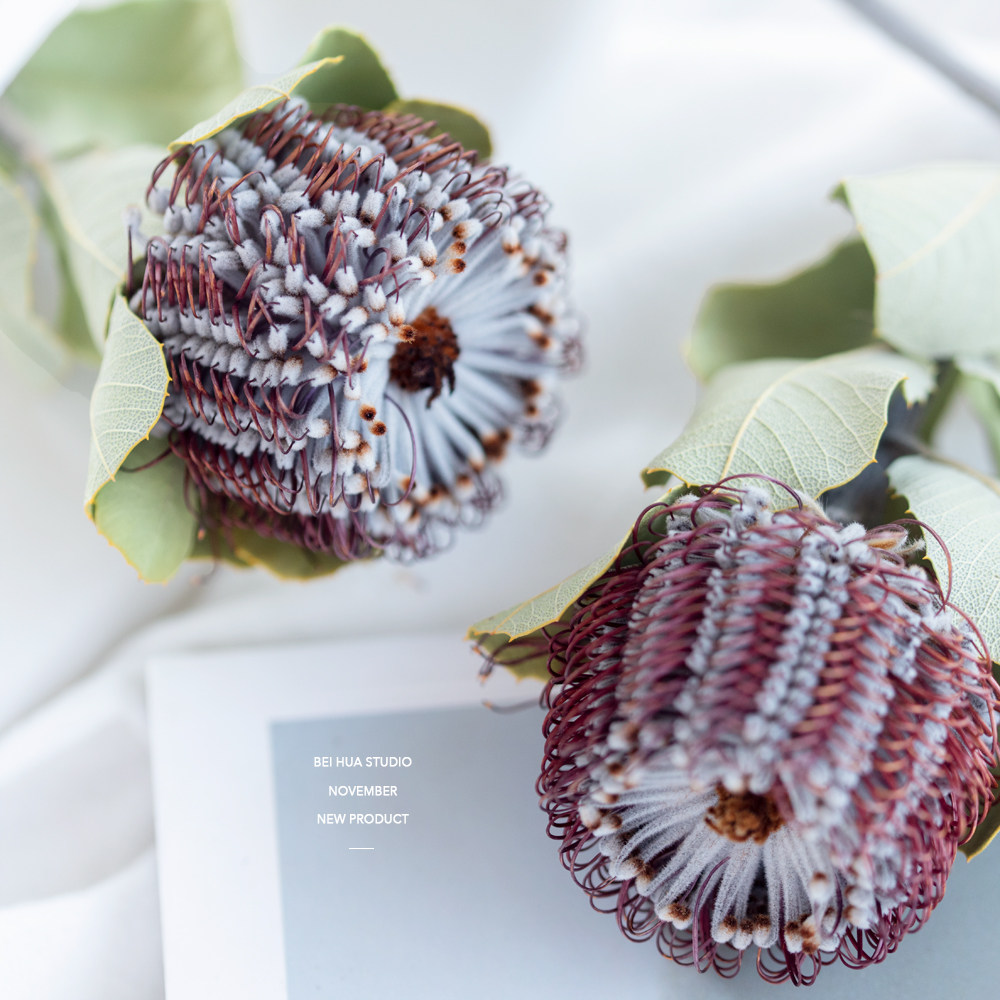 南非进口玉米佛塔干花轻奢家居酒店咖啡馆店铺干花