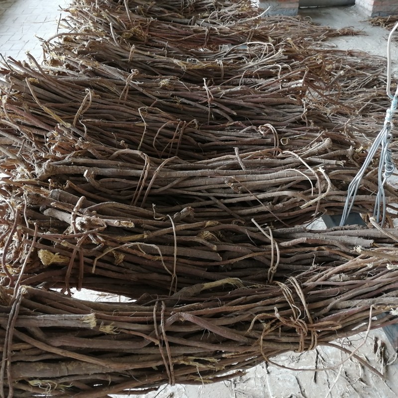 甘草草根山西250克光果红皮宝宝磨牙乌拉尔甘草