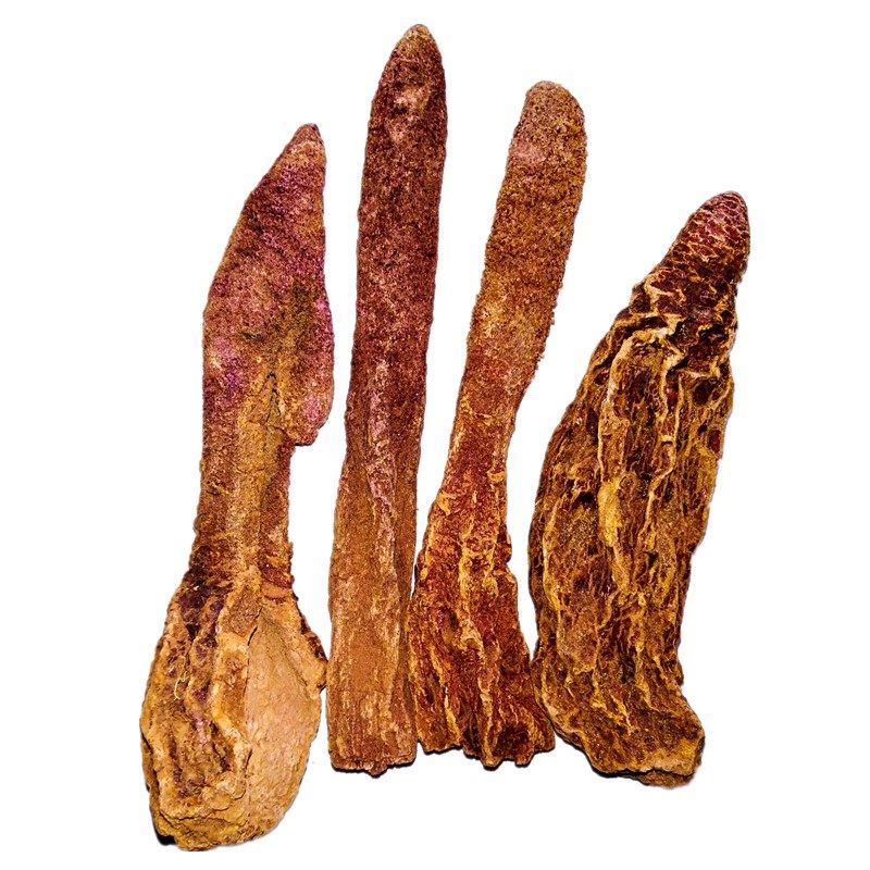 锁阳草宜切片补药泡酒男性苁蓉配肉不老500g不老草