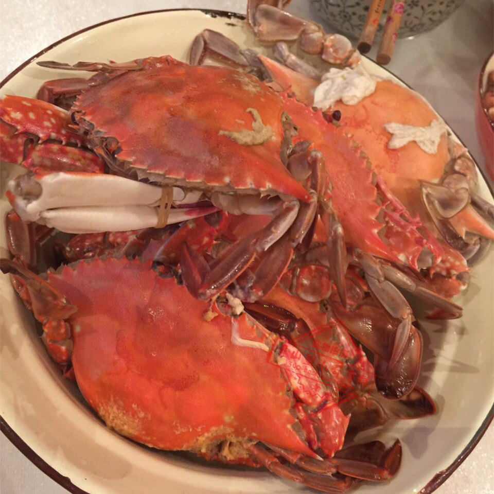 螃蟹舟山东海海鲜野生红膏梭子新鲜500克母蟹其它