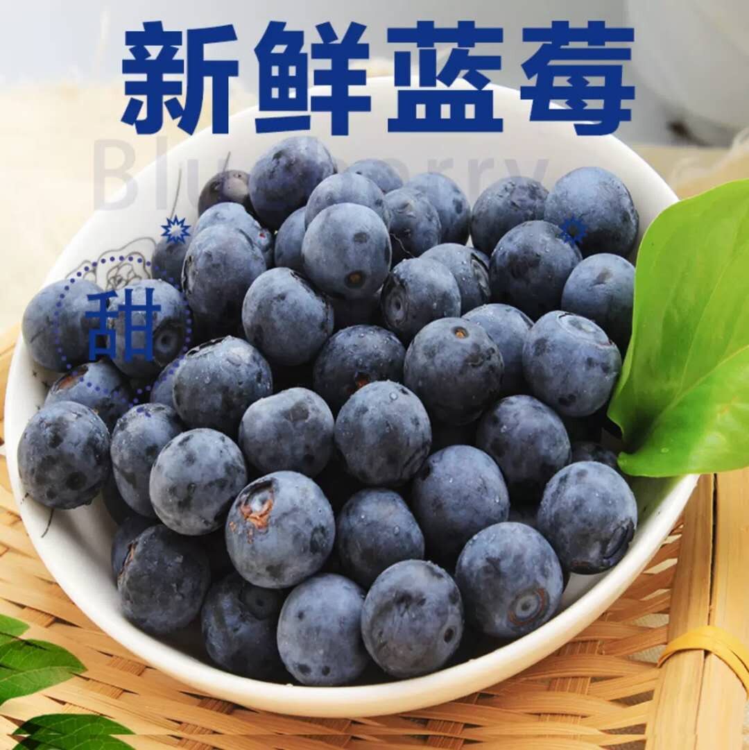 蓝莓东北黑龙江伊春护眼鲜果2021年头顺丰发货蓝莓