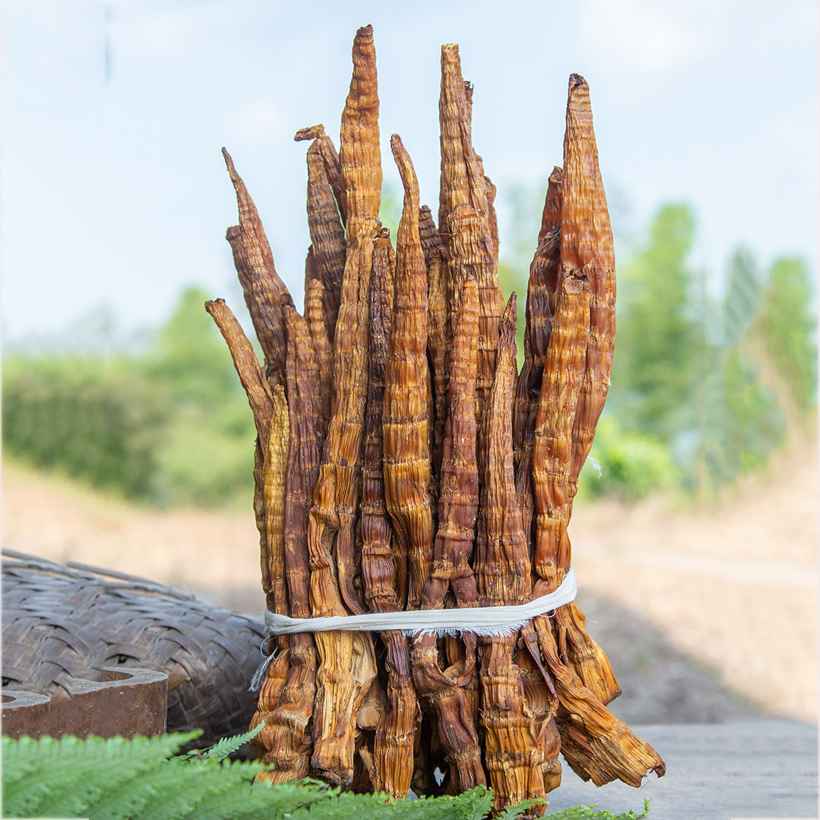 笋干竹笋贵州赤水烟熏筒筒干货笋尖牛尾方竹笋笋类制品