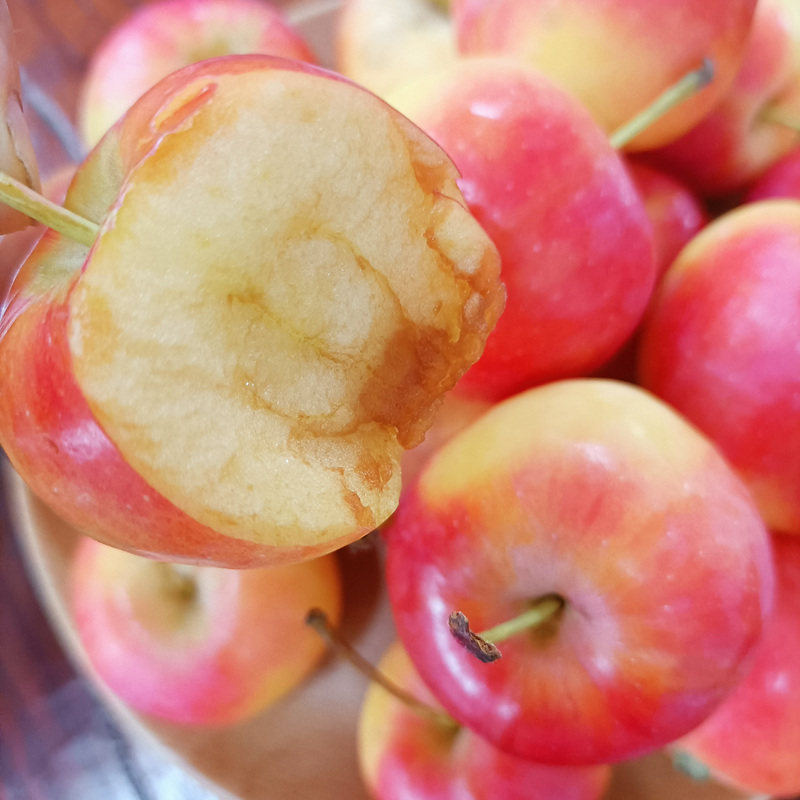 东北特产沙果海棠果甜酸当季鸡心果5斤新鲜水果糖心小苹果龙丰果-mc