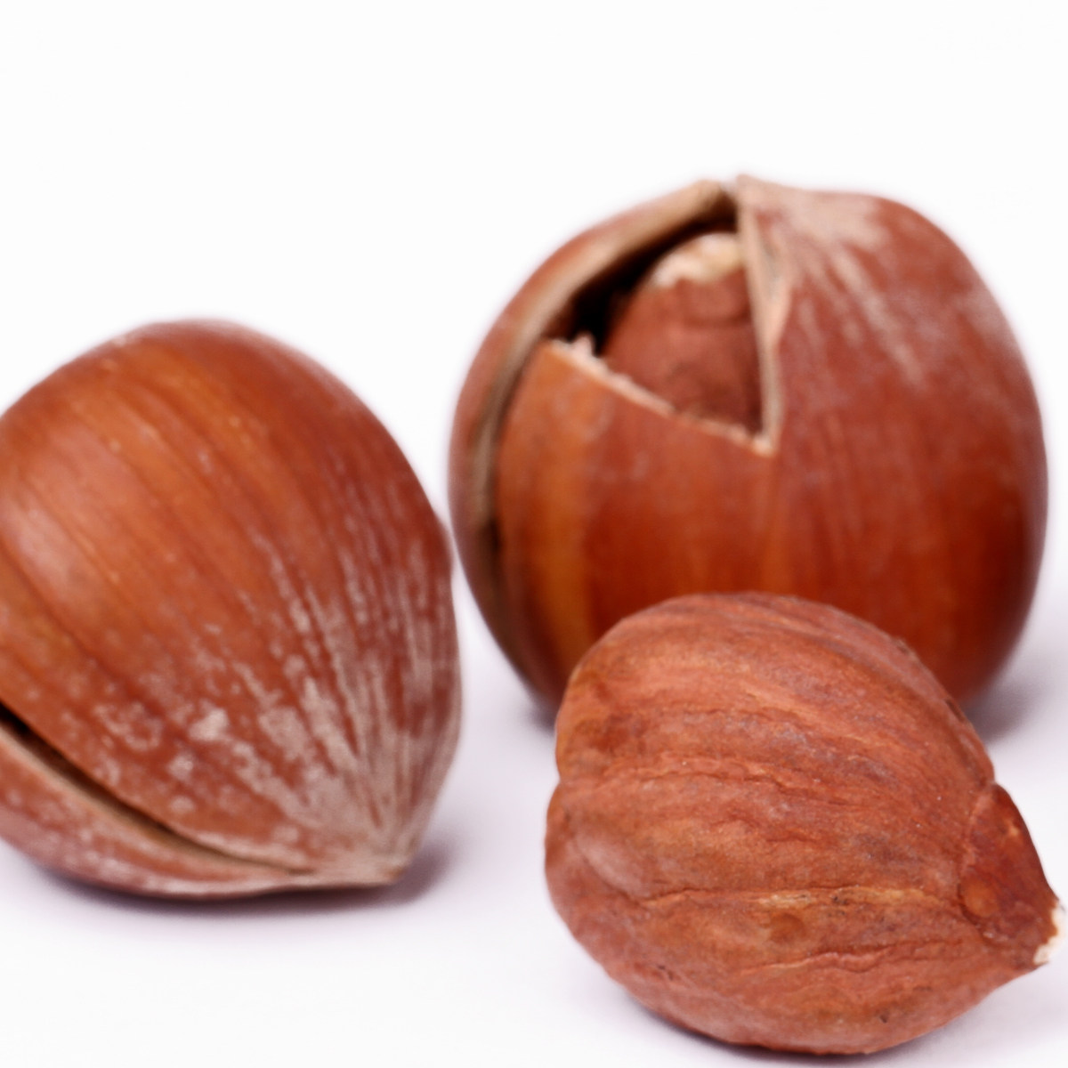 焙烤零食孕妇年货坚果带壳原味悠享300g榛子榛子