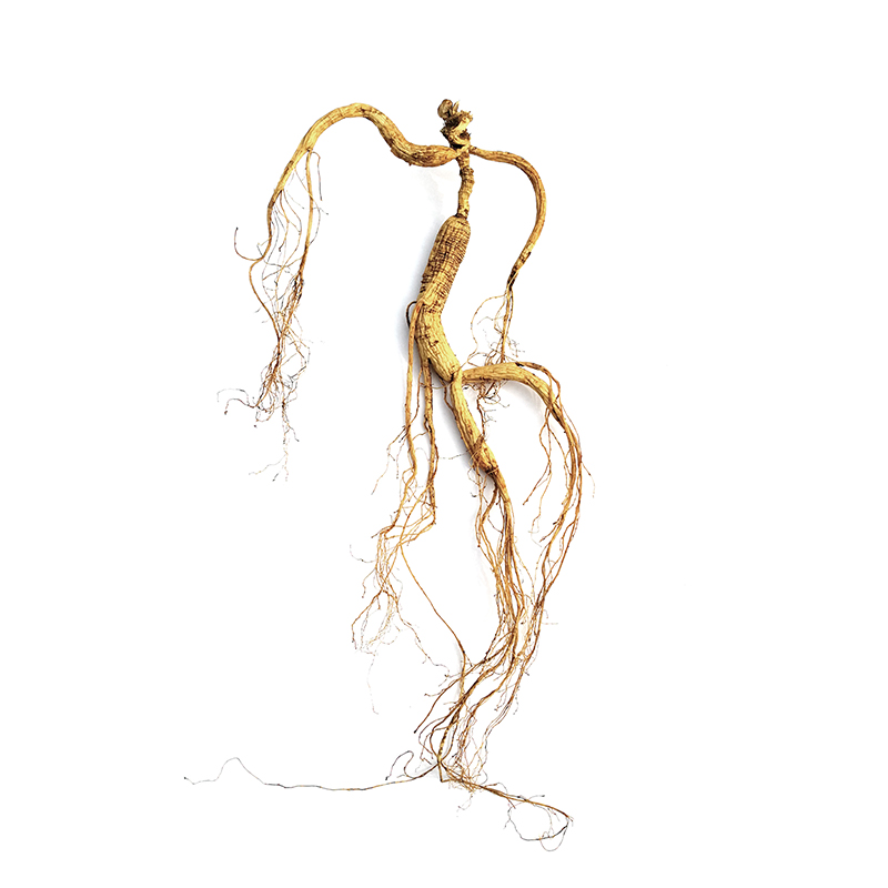 千年人参特大野山参长白山一等品林下山参滋补炖汤泡酒野生移山参