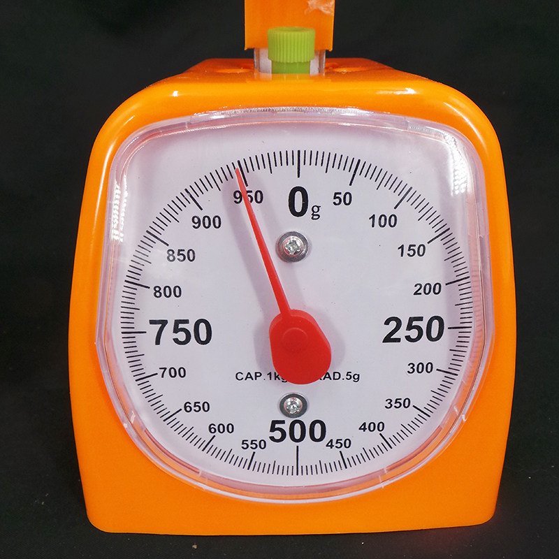 小学数学教具教学学用厨房用1000g1千克盘秤零点教学仪器