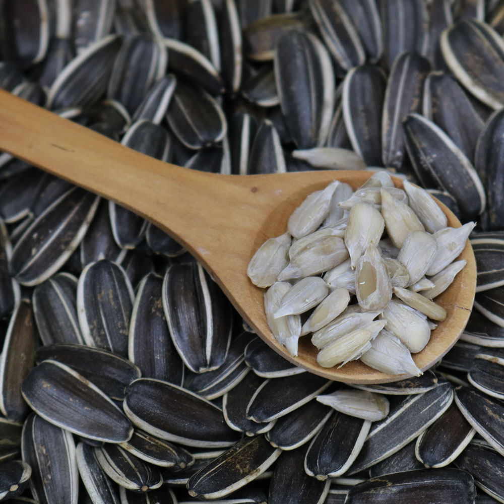 2020原味包装现炒袋装饱满特大葵花籽新瓜子散装瓜子