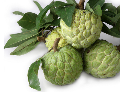 泰国释迦果番凤梨佛头当季热带水果3斤5斤装番荔枝