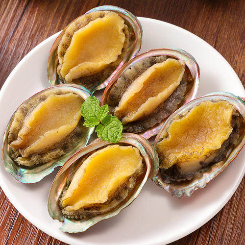 鲍鱼活冻8头360g3袋鲜活大个特大新鲜海鲜鲍鱼