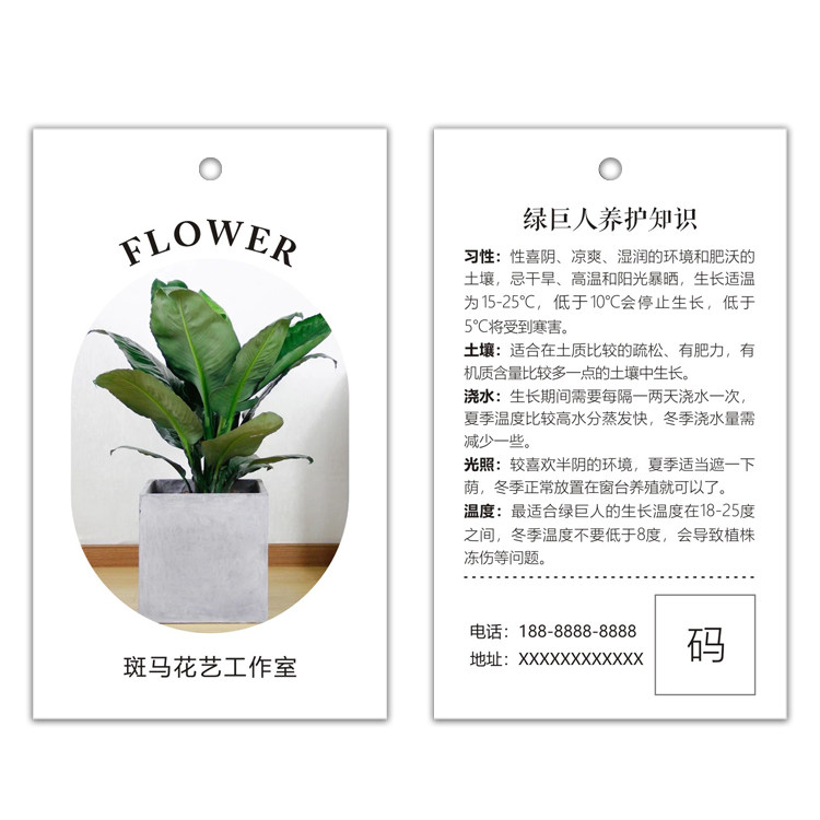 荷兰吊牌设计绿植植物盆栽保养说明螺纹养护名片