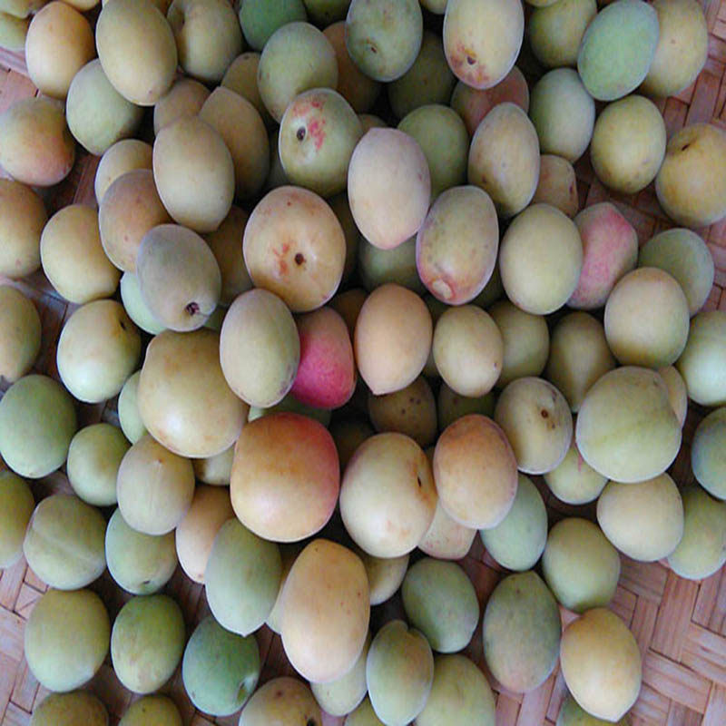 梅子包邮广西特产酸梅咸水青梅孕妇开胃玻璃瓶其它