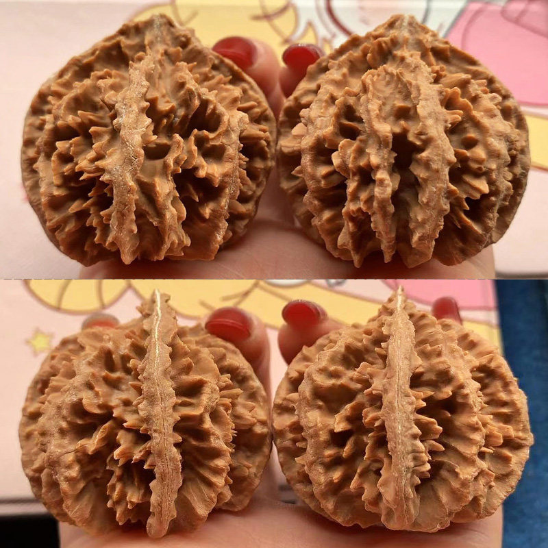 陕西秦岭野外外生文玩大灯灯笼秋子核桃八棱小众木作