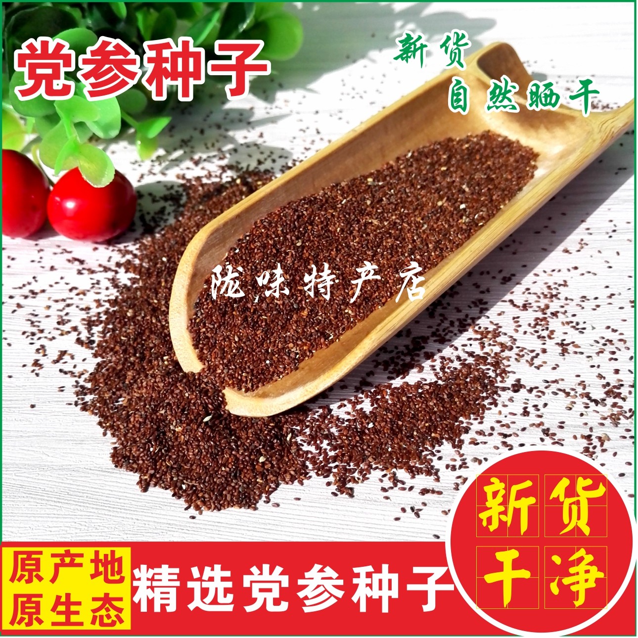 种子党参高干净发芽率文党籽潞党甘肃新党参2022年克包党参