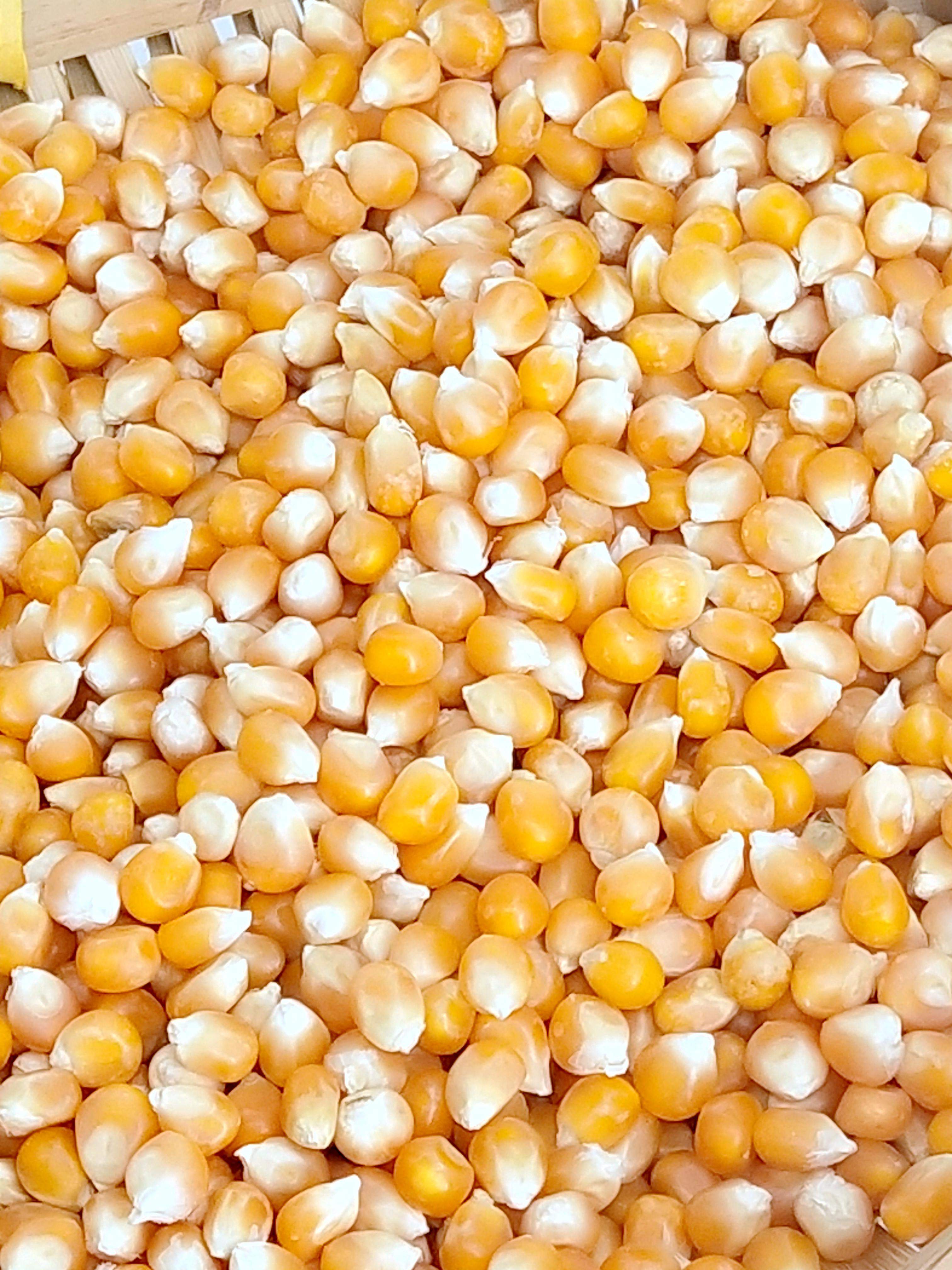 爆口福三合一爆米花原料 蝶形小玉米粒 专用奶油 爆谷糖 套餐200g