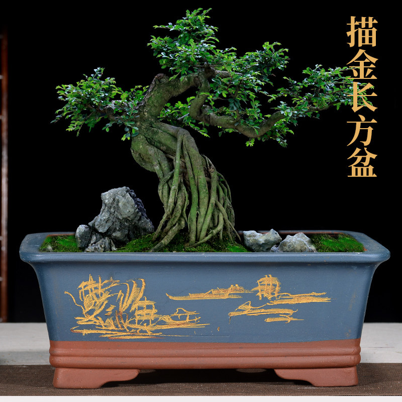 花盆紫砂陶瓷长方形盆景榕树罗汉松汉松迎客松灵芝花盆