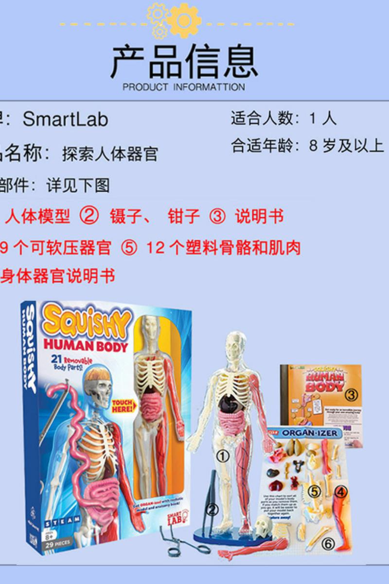 人体器官模型 科学stem儿童益智玩具smart lab幼儿园86减10券$76元去