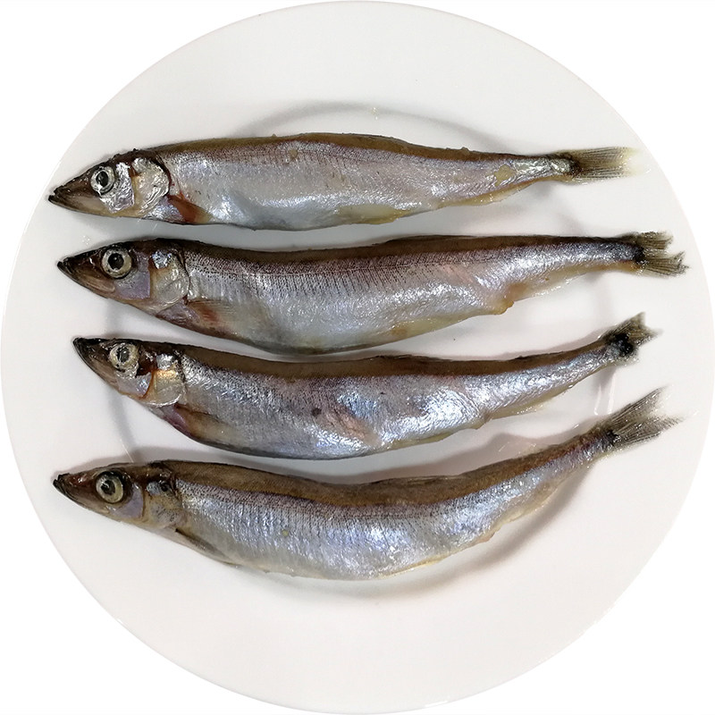 满籽多春鱼加拿大进口多春新鲜条条鲜冻烧烤多春鱼新