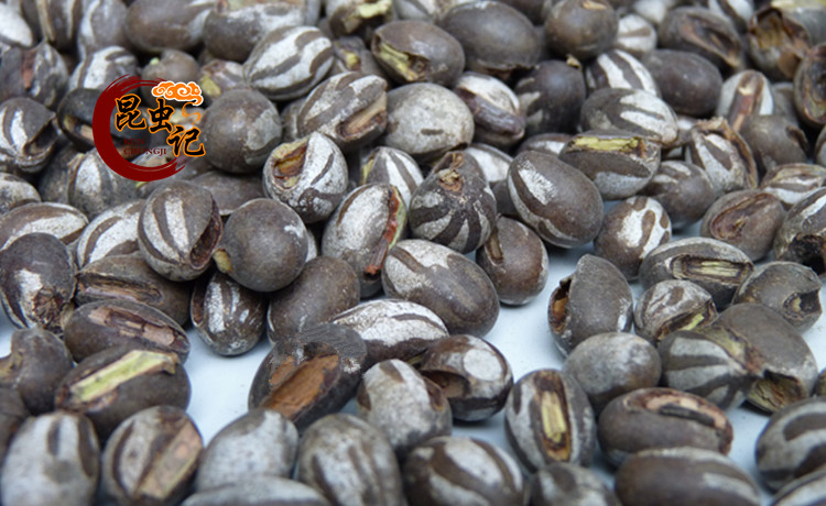 新鲜杨拉罐新鲜洋辣子蛋八甲刺子土美食包邮波刺毛1斤