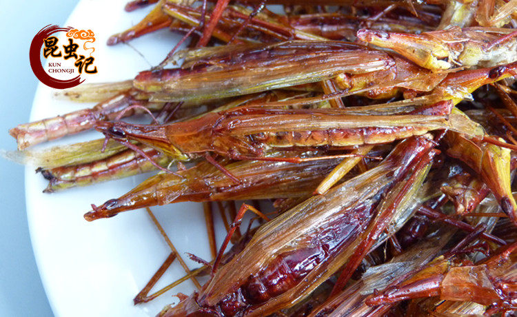 蚱蜢剑角蝗昆虫蚂蚱扁担昆虫记50克