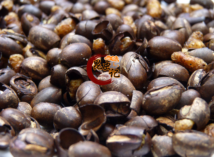 杨拉罐食用昆虫美食洋辣子波刺毛八甲子蛋50克昆虫记