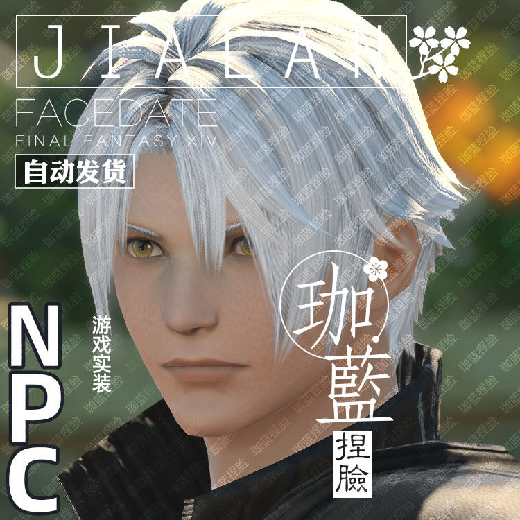 珈蓝最终幻想ff14捏脸数据人类类人族人npc桑克游戏