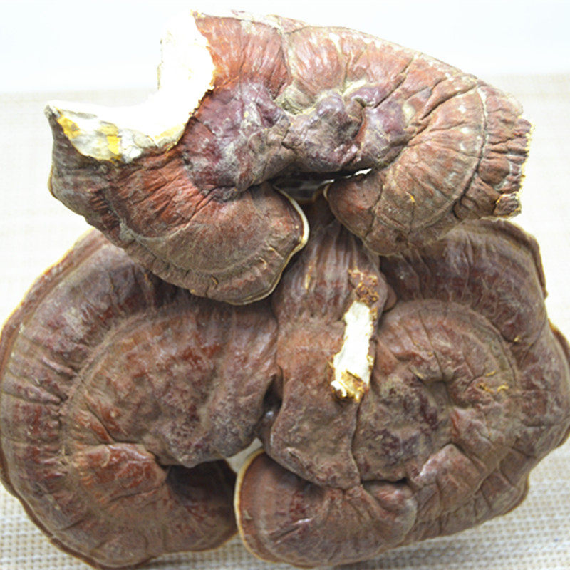 灵芝西藏特产正品白心整朵特级250g190整枝灵芝